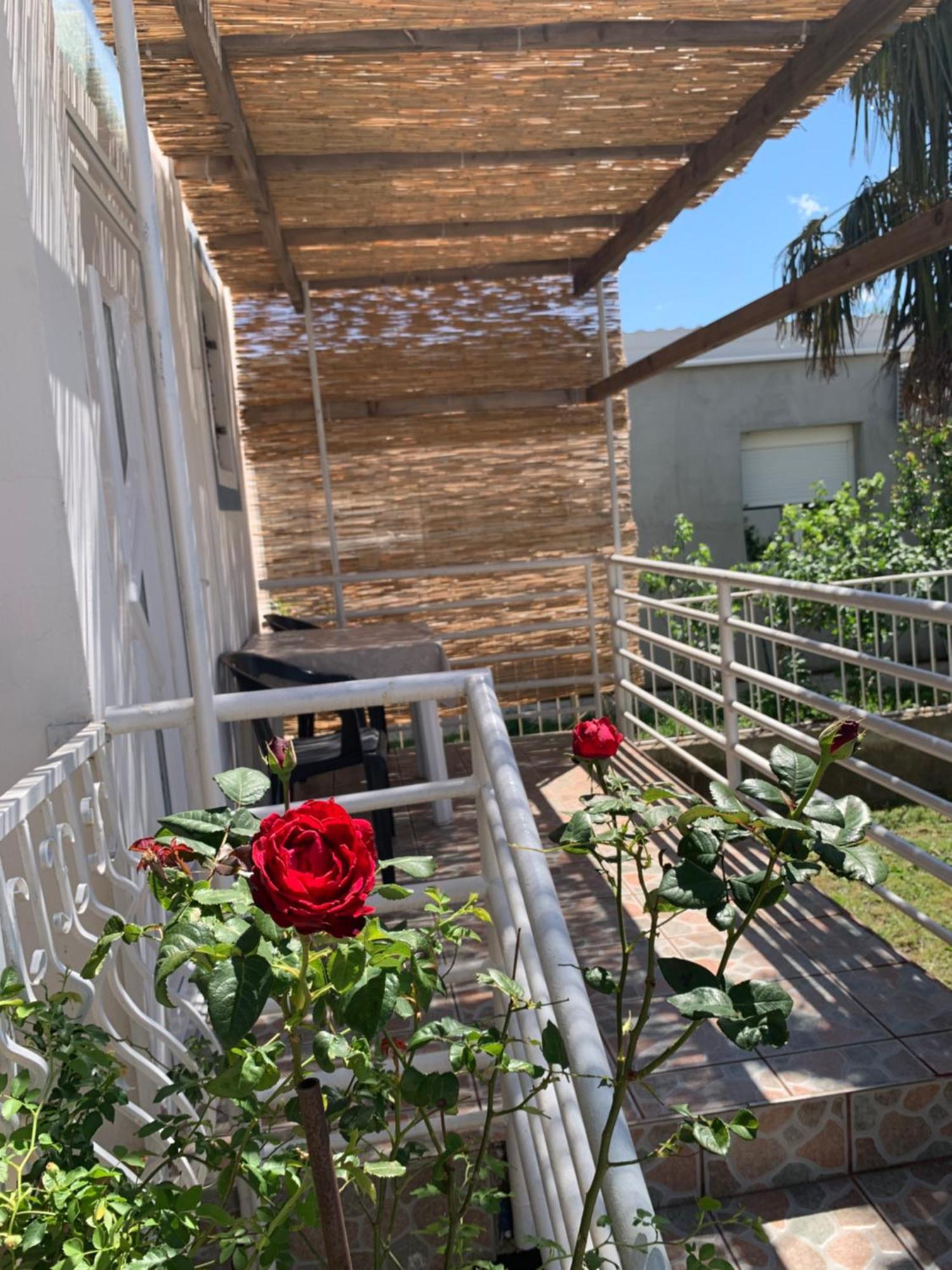Apartmani Antonela Seline Exterior photo
